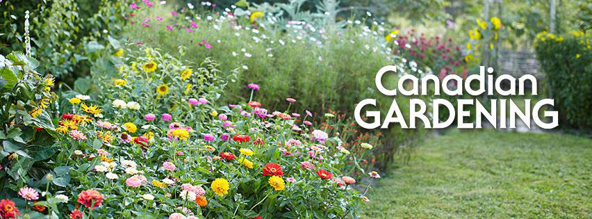 CG Facebook Timeline Header
