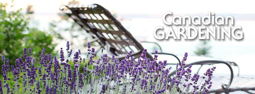 CG Facebook Timeline Header