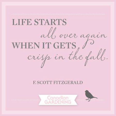 CG Quotes for Instagram Posts