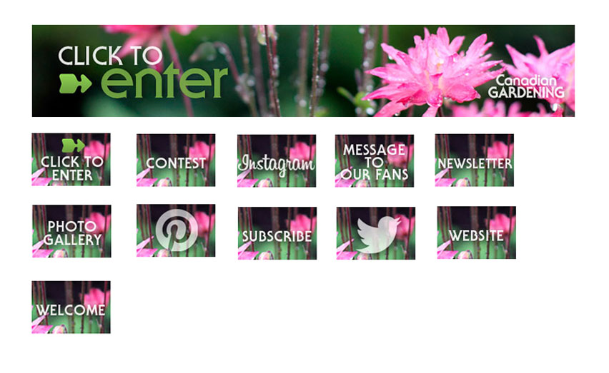 CG Facebook Web Banner