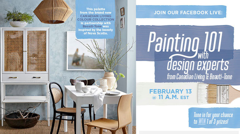 Paint Colour Collection Facebook Live Graphics